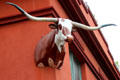 Longhorn statue on Buckhorn Saloon & Museum. San Antonio, TX.