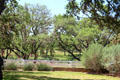 View of Pedernales River from Johnson house at Lyndon B. Johnson NHP. Stonewall, TX.
