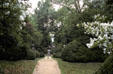 Garden at Berkeley Plantation on James River. VA.
