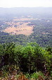 Looking down into valley of Shenandoah National Park. VA.
