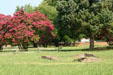 Few foundations which remain of original Jamestown settlement now preserved by Colonial National Historical Park. Jamestown, VA.