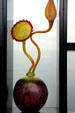 Sunflower-like glass sculpture by Dale Chihuly in Venetian Wall. Tacoma, WA.