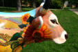 Sunflower detail of Driftless in WisCOWsin by S. V. Medaris in Madison CowParade. Madison, WI.