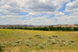 Landscape around Oregon Trail ruts. WY.