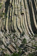 Curved columns of Devils Tower. WY.