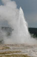 Old Faithful erupts at Yellowstone National Park. WY.