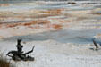 Landscape around Mammoth Hot Springs in Yellowstone National Park. WY.