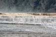 Mineral steps around Mammoth Hot Springs in Yellowstone National Park. WY.