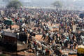 Flea market. Delhi, India.