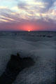 Camel watches sunset at Sam Sand Dunes National Park. India.