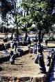 Sculpture Garden of Harare. Zimbabwe.